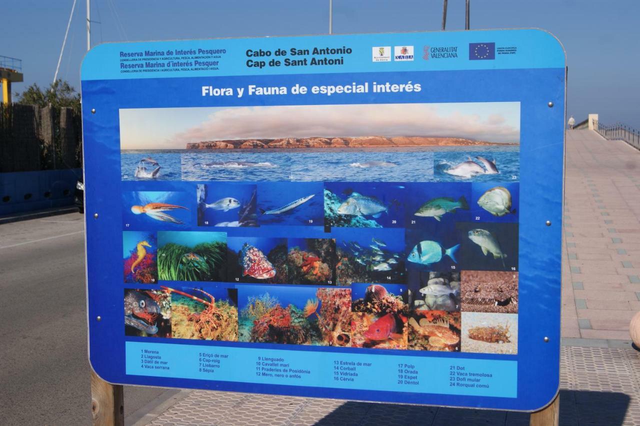 Apartamento Las Marinas en Dénia II Esterno foto